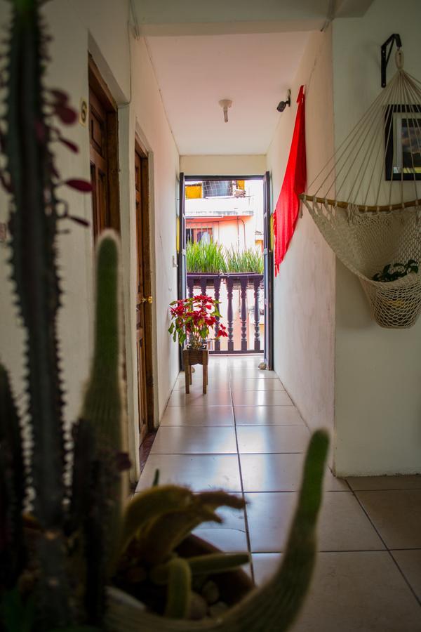 Hotel Casa Mia San Cristóbal de Las Casas エクステリア 写真